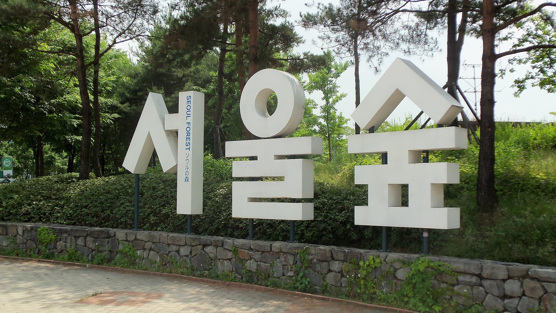 서울숲 넓은 공원 전경