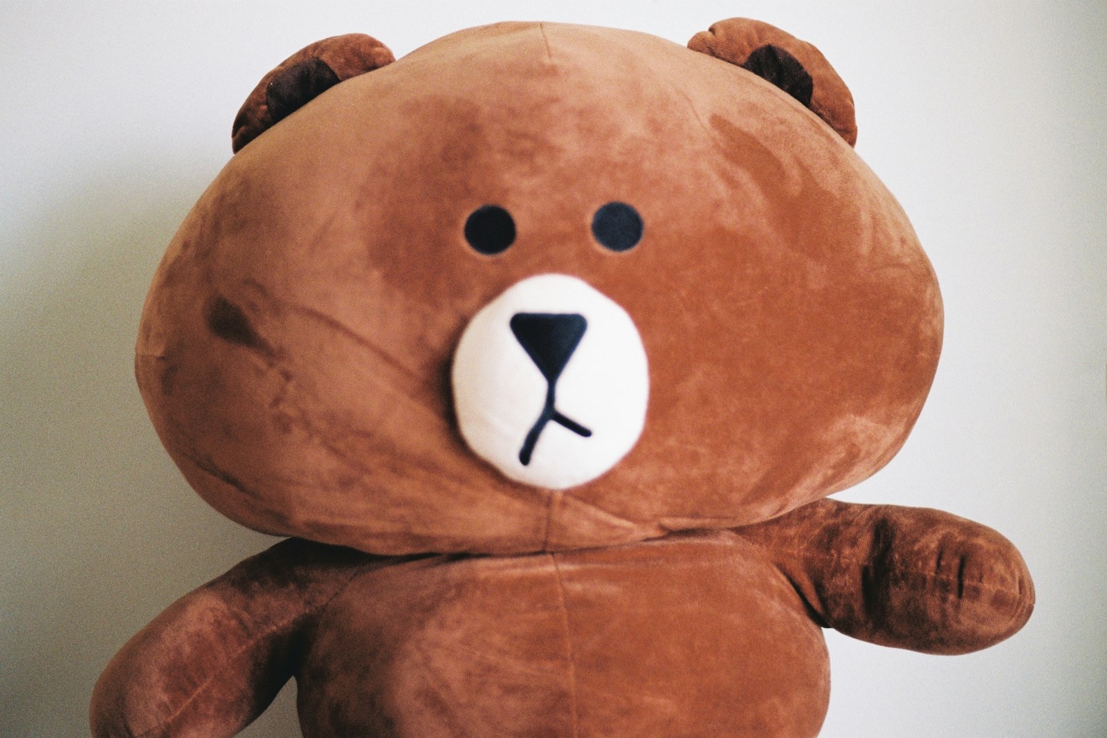 곰돌이 브라운 인형 클로즈업