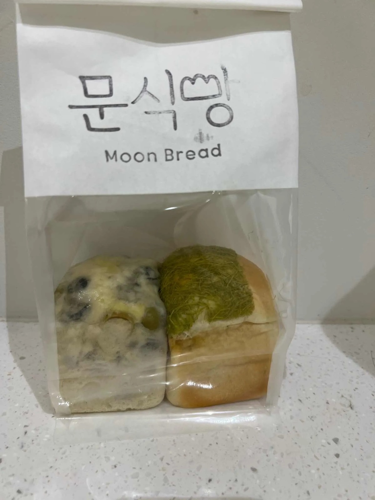 우유식빵 통 빵 모습